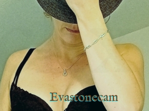 Evastonecam