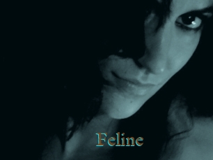 Feline