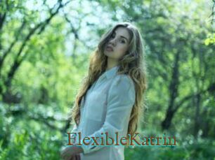 FlexibleKatrin