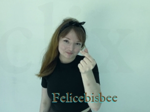 Felicebisbee