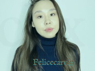 Felicecarvin