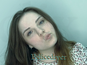 Felicedryer