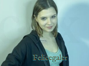 Felicegaler