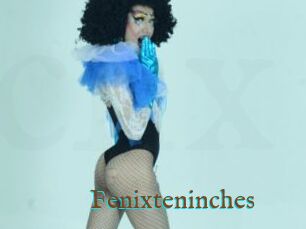 Fenixteninches
