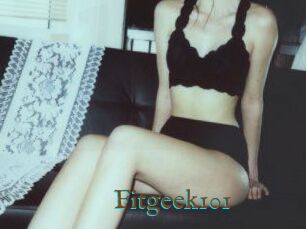 Fitgeek101