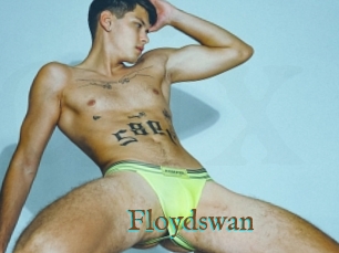 Floydswan