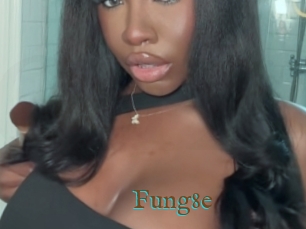 Fung8e