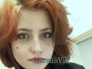 GarminViV