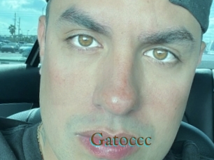 Gatoccc