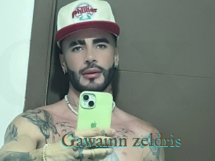 Gawainn_zeldris