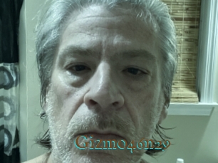 Gizmo46n29