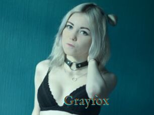 Grayfox