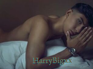 HarryBigxx