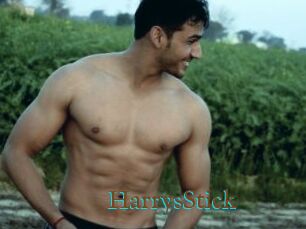 HarrysStick