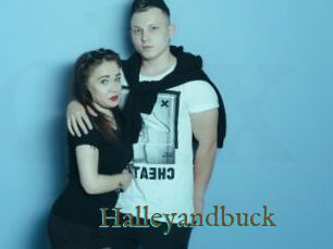 Halleyandbuck