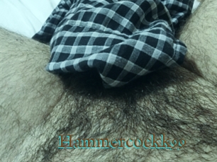 Hammercockk99