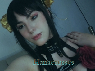 Hanaerosses