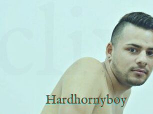 Hardhornyboy