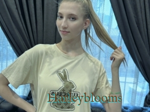 Harleyblooms