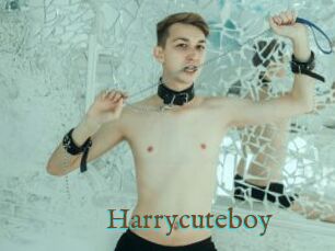 Harrycuteboy