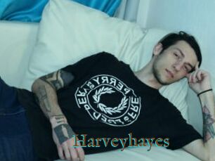 Harveyhayes