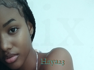 Haya23