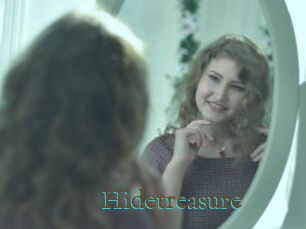 Hidetreasure