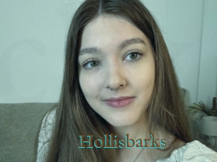 Hollisbarks