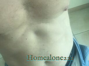 Homealone222