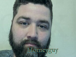 Horneyguy