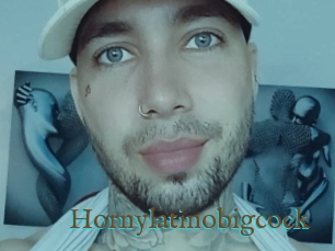 Hornylatinobigcock