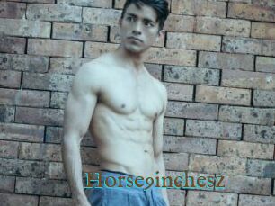 Horse9inchesz