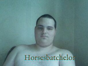 Horsesbatchelor