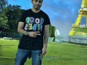 Hoss301