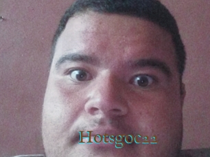 Hotsgoc22