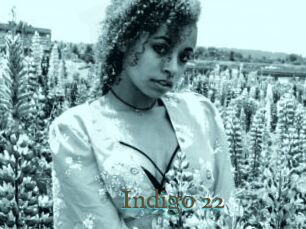 Indigo_22