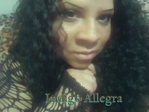 Indigo_Allegra