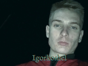Igorkoshel