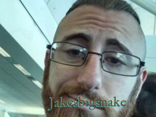 Jakesbigsnake