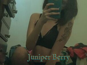 Juniper_Berry