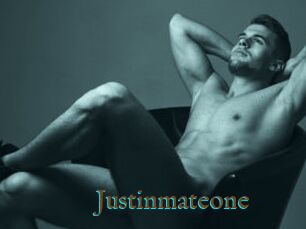 Justinmateone