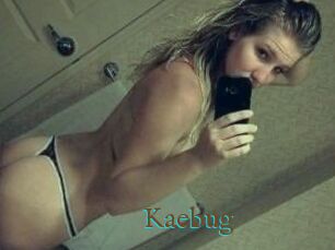 Kaebug