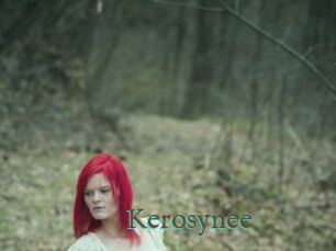 Kerosynee