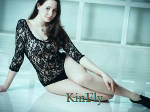 KinFly
