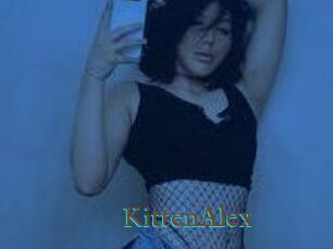 KittenAlex