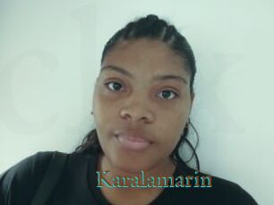 Karalamarin