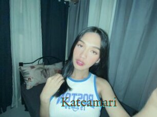 Kateamari