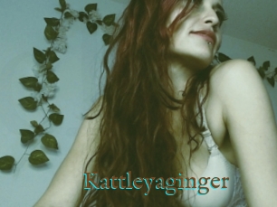 Kattleyaginger