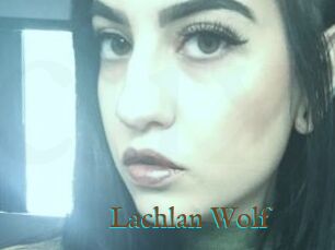 Lachlan_Wolf