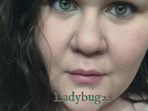 Ladybug22